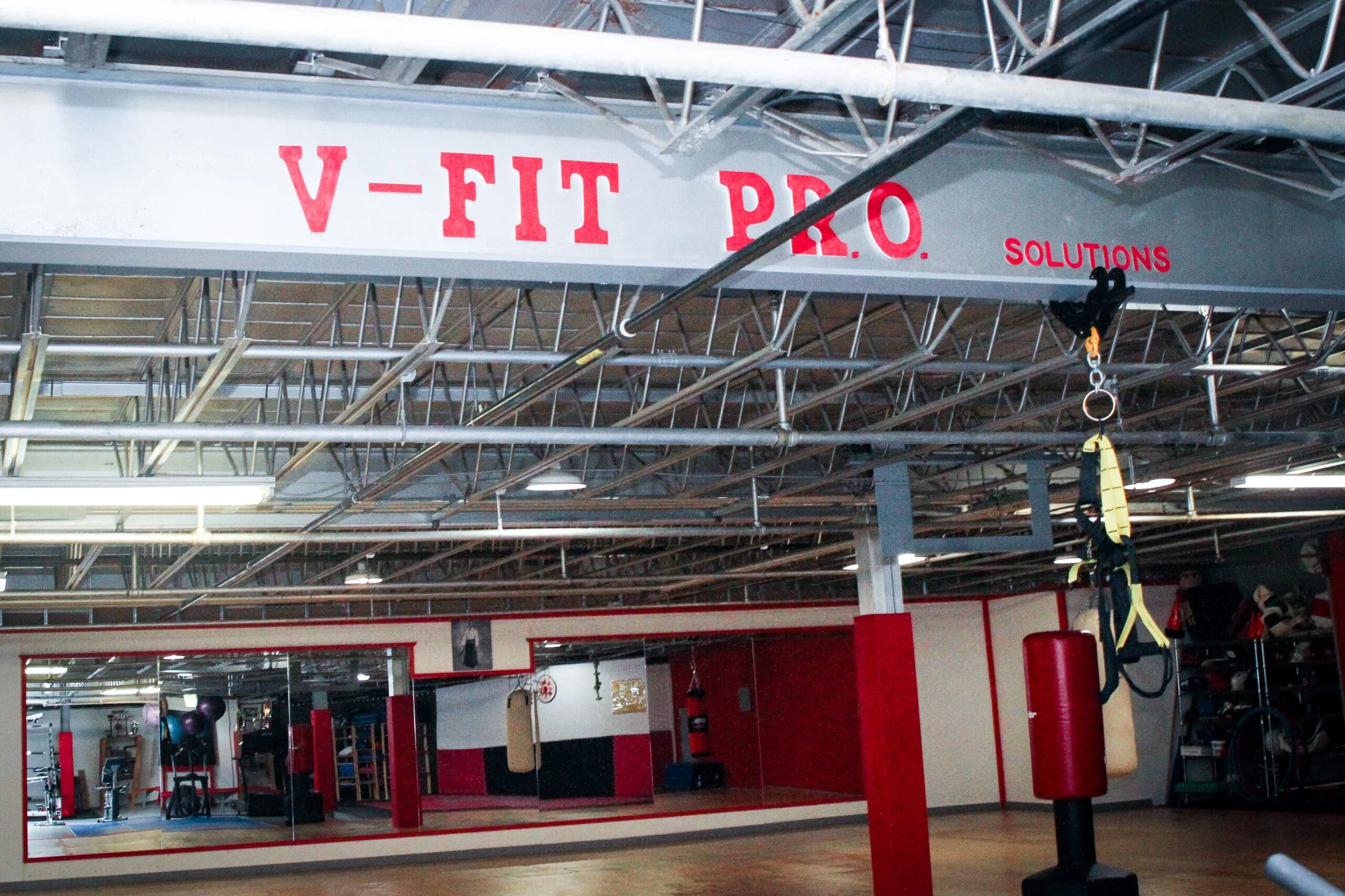 V-Fit P.R.O. gym shot